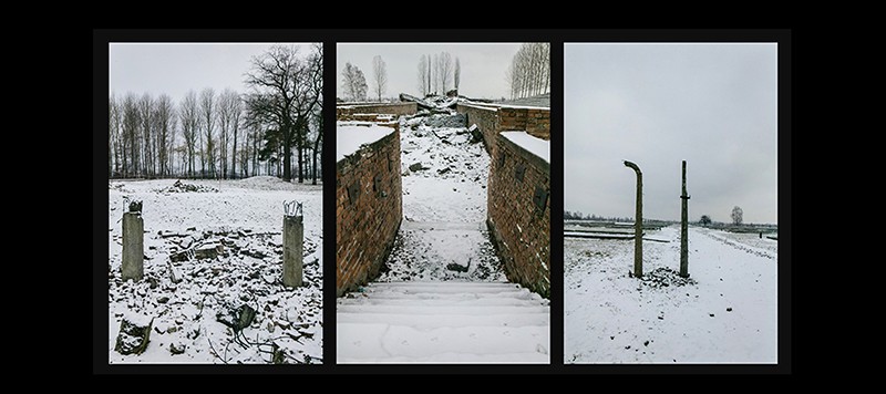 White silent hell 6